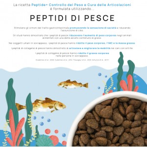 REALVET CONTROLLO del PESO e ARTICOLARE