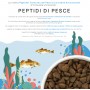 REALVET CONTROLLO del PESO e ARTICOLARE