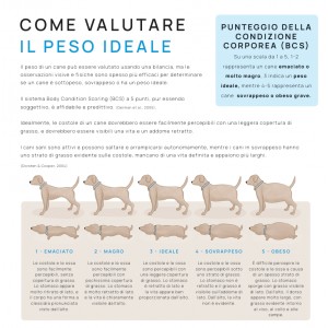 REALVET CONTROLLO del PESO e ARTICOLARE