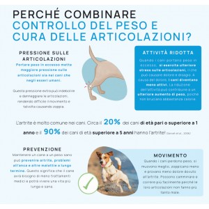 REALVET CONTROLLO del PESO e ARTICOLARE
