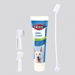 TRIXIE SET DENTAL CARE