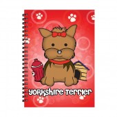 AGENDINA 3D YORKSHIRE