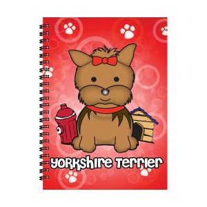 AGENDINA 3D YORKSHIRE