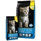 MATISSE KITTEN 